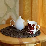 Comfort 格里兹鲍